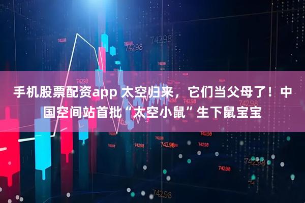 手机股票配资app 太空归来，它们当父母了！中国空间站首批“太空小鼠”生下鼠宝宝